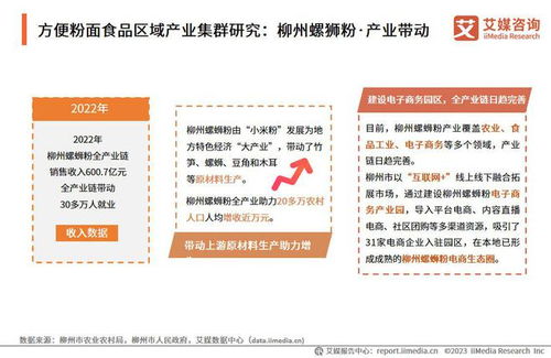 2023-2024年中國(guó)方便粉面食品行業(yè)發(fā)展研究報(bào)告